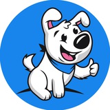 Telegram profile photo for Кинологикс