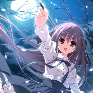 Telegram profile photo for koikatu恋活