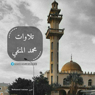 Telegram profile photo for قصص قناة ( تلاوات محمد المنفي )