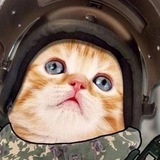 Telegram profile photo for Святая Борода