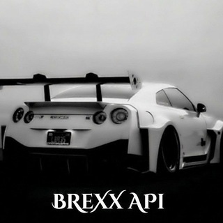 Telegram profile photo for BRX API