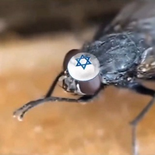 Telegram profile photo for Артемій Потужненко 🇺🇦