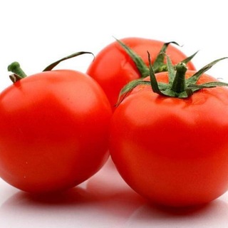 Telegram profile photo for 西红柿更新通知🍅