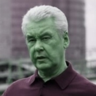Telegram profile photo for Погромы в Москве под Собяниным