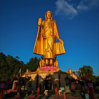 Telegram profile photo for 掸邦 曝光|寻人|新闻 🇲🇲