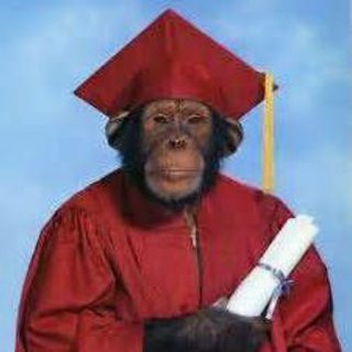 Telegram profile photo for Заносной Зирка