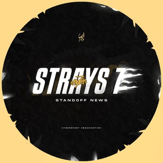 Telegram profile photo for Strays News