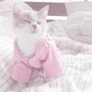 Telegram profile photo for 🌷•.темки от лорри†🎀