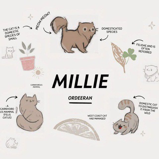 Telegram profile photo for Millie's