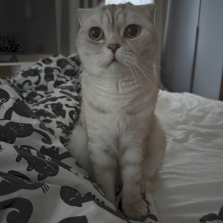 Telegram profile photo for потужности