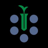 Telegram profile photo for سندیکا کرمانشاه