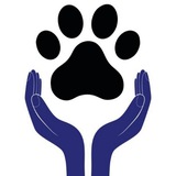 Telegram profile photo for Забота о Лапках. Все о домашних животных!