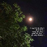 Telegram profile photo for شَجَرَةُ الذّڪْرْ🌳