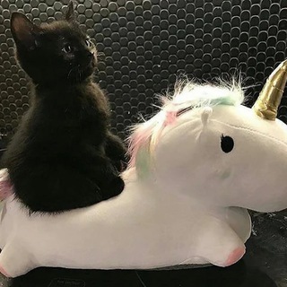 Telegram profile photo for moneymoew
