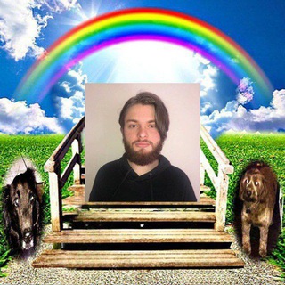 Telegram profile photo for /проект чича/