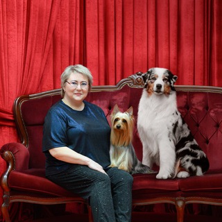 Telegram profile photo for Питомник "Beautiful Life" www.silky-life.ru