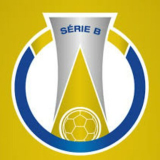 Telegram profile photo for Brasileirão Série A /B ⚽️🏆
