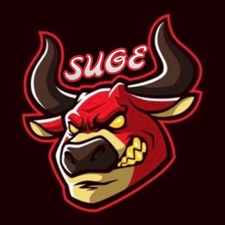 Telegram profile photo for SUGE’S ALPHA PICKS 🔥