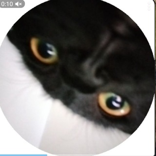 Telegram profile photo for Call This # Now
