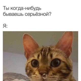 Telegram profile photo for Юмор FM