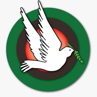 Telegram profile photo for تلفزيون السلام