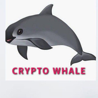 Telegram profile photo for ๐พ๐ง๐ฎ๐ฅ๐ฉ๐ค ๐๐๐๐ก๐ ๐๐๐๐ฃ๐๐ก๐จ