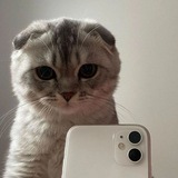 Telegram profile photo for 𝗠𝟱𝟬𝟬𝗞𝗔⁰⁵