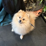 Telegram profile photo for Твой друг - Байер Дюк