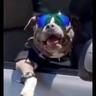 Telegram profile photo for Шиномонтаж от kor