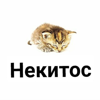 Telegram profile photo for Некитос (mediynayablad)