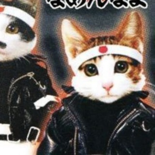 Telegram profile photo for кудесник юрий