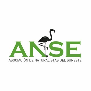 Telegram profile photo for Actividades ANSE