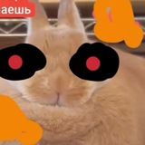 Telegram profile photo for сменил юз