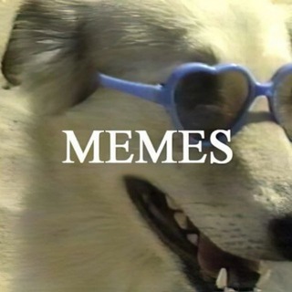 Telegram profile photo for Подъезд с мемами