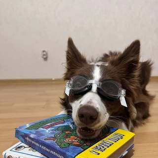 Telegram profile photo for Игры от Юты!!🐾🪽