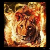 Telegram profile photo for Арыстан Арыстанов