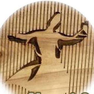 Telegram profile photo for نقد فرقههای صوفیه