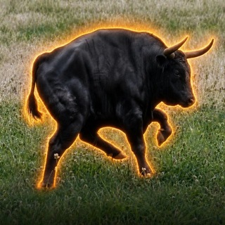 Telegram profile photo for BULLMOTHY