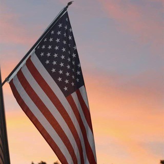 Telegram profile photo for USA Database