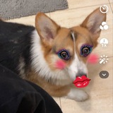 Telegram profile photo for Об'єктивний Мико ➔