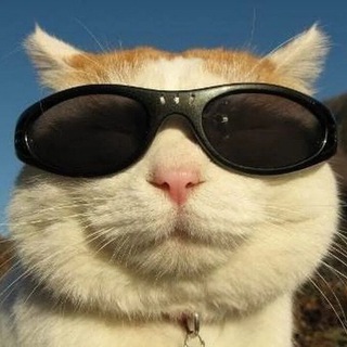 Telegram group profile photo for Взаимные подписки реакции ВЗ