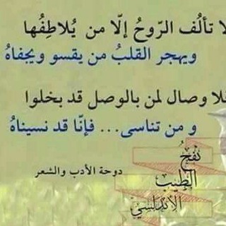 Telegram profile photo for مذكرات كاتب