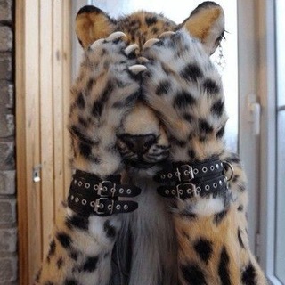 Telegram profile photo for SEESHA