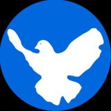 Telegram profile photo for kein-krieg-mit-russland.de