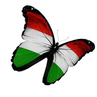 Telegram profile photo for Стильная одежда