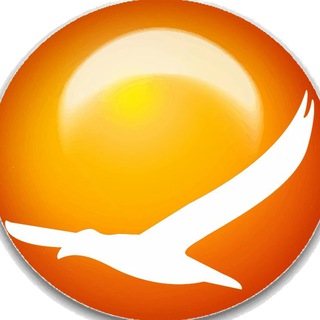 Telegram profile photo for Альбатрос