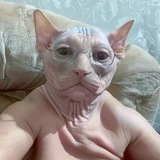 Telegram profile photo for France🇫🇷