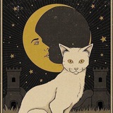 Telegram profile photo for Отзывы на таро Луна