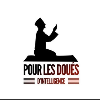 Telegram profile photo for PLDI (podcasts/articles/vidéos)