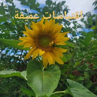 Telegram profile photo for ❤️🔥نـبـ♡ـض❣أقـ✍ـتباسات💜